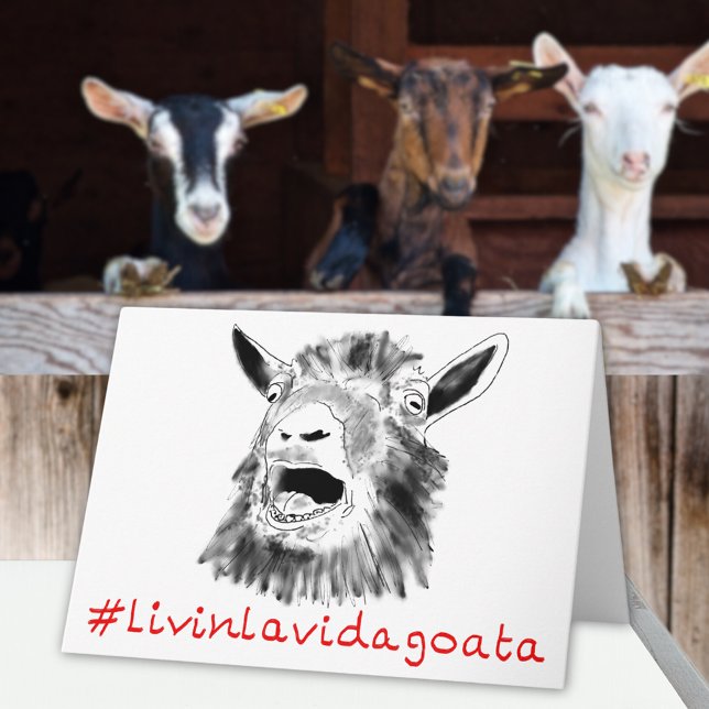 Livin La Vida Goata Funny Screaming Goat Animal Card (Funny screaming goat quote livin la Vida goata fun greetings card)