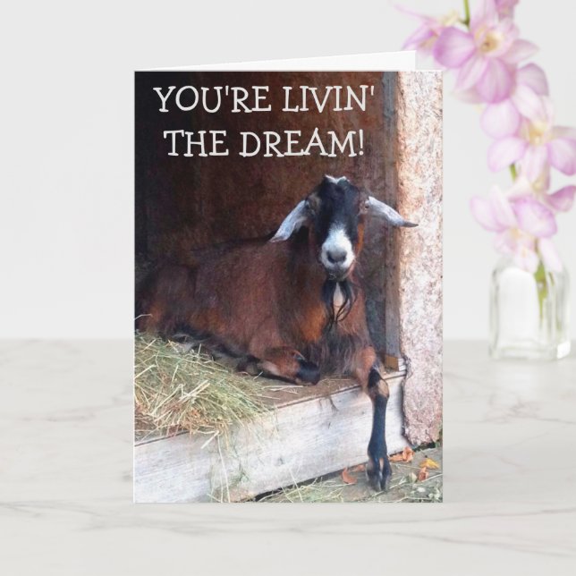 Livin' The Dream Funny Goat Birthday Card (Orchid)