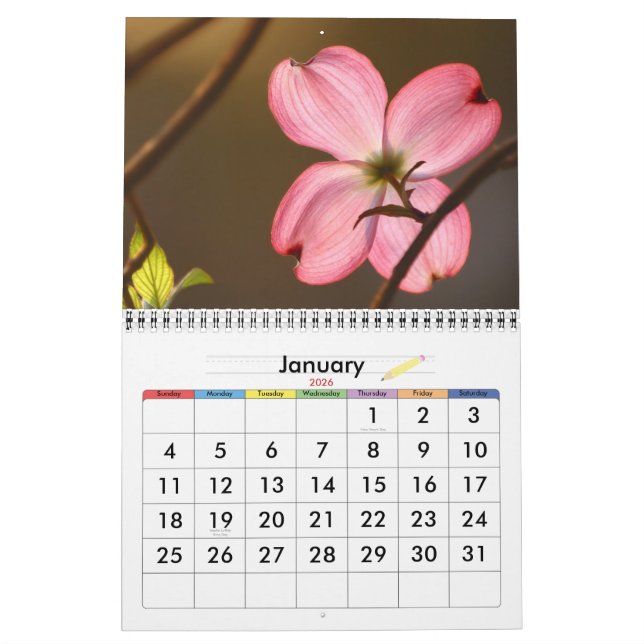 Living Colour Calendar (Jan 2026)