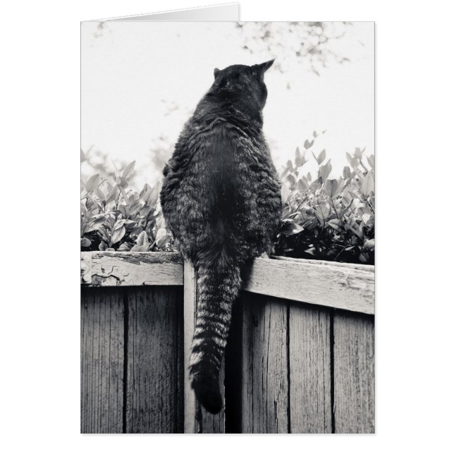 Living Gargoyle (Front)