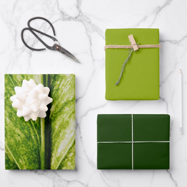 Living Green Eco Friendly Large Gift Bag Wrapping Paper Sheet (Front)