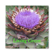 Living Green