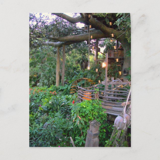 Living in the Trees Postcard (Front)