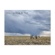 Living Legend of the West - Postcard