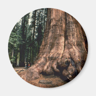 Living Mountain Magnet