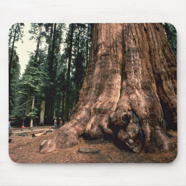 Living Mountain Mouse Pad (Front)