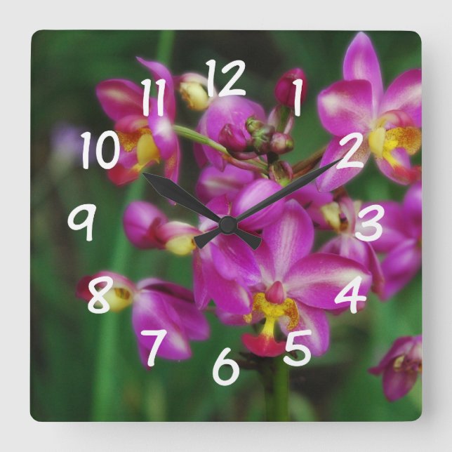 Living Room - Purple orchids Photo Square Wall Clock (Front)