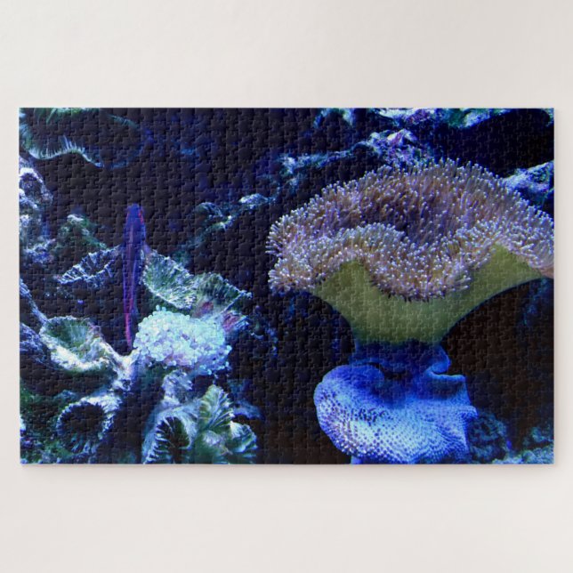 Living the Aquarium Life Jigsaw Puzzle (Horizontal)