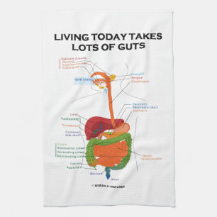 Living Today Takes Lots Of Guts Digestive System Kitchen Towel