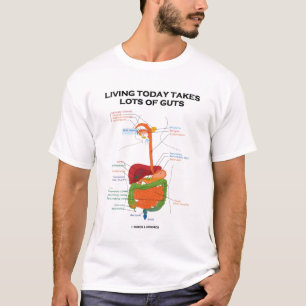 Living Today Takes Lots Of Guts (Digestive System) T-Shirt