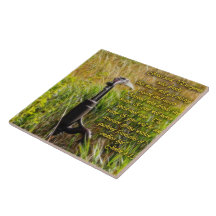 Living Water John 4 Inspirational