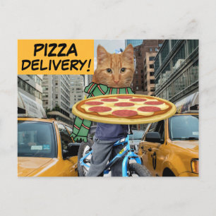 LIVRAISON DE PIZZA ! CARTES POSTALES CAT