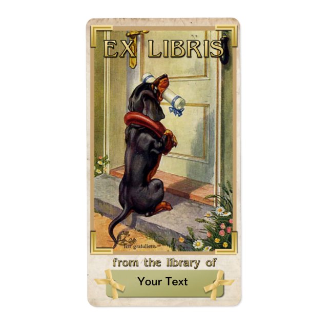 Livraison spéciale Dachshund - ID plaque de livre (Devant)