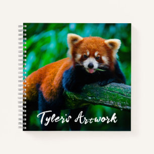 Livre de croquis Red Panda