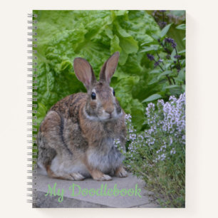 Livre de Doodle de lapin mignon
