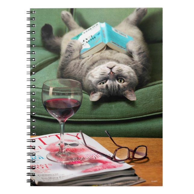 Livre de lecture de chats en haut (Devant)