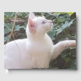 livre d'invités whitecat