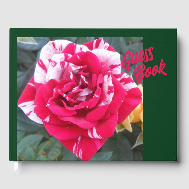 Livre D'or Anicia (Recto)