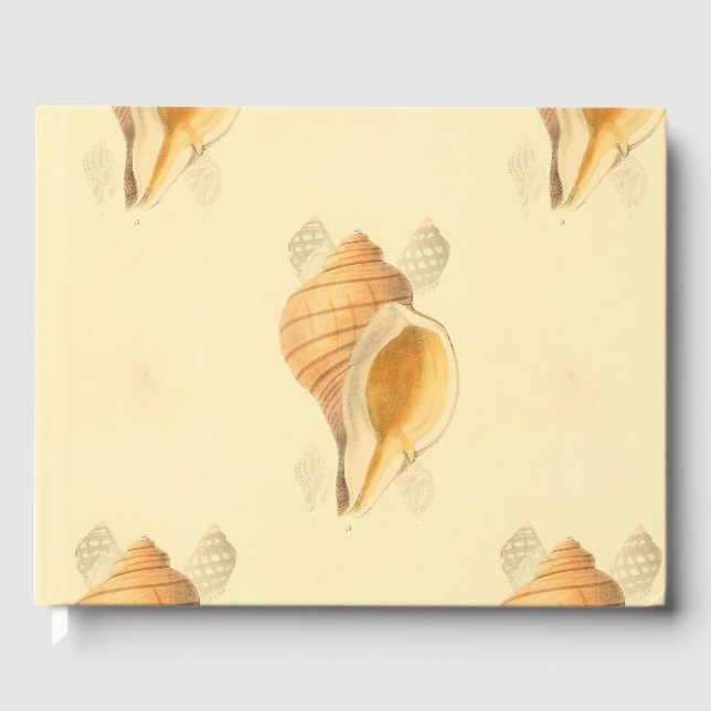Livre D'or architecture de plage de shell (Recto)