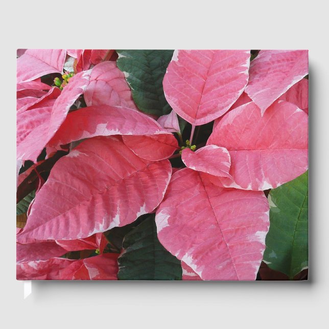 Livre D'or Argent Star Marbre Poinsettias Pink Holiday Floral (Recto)