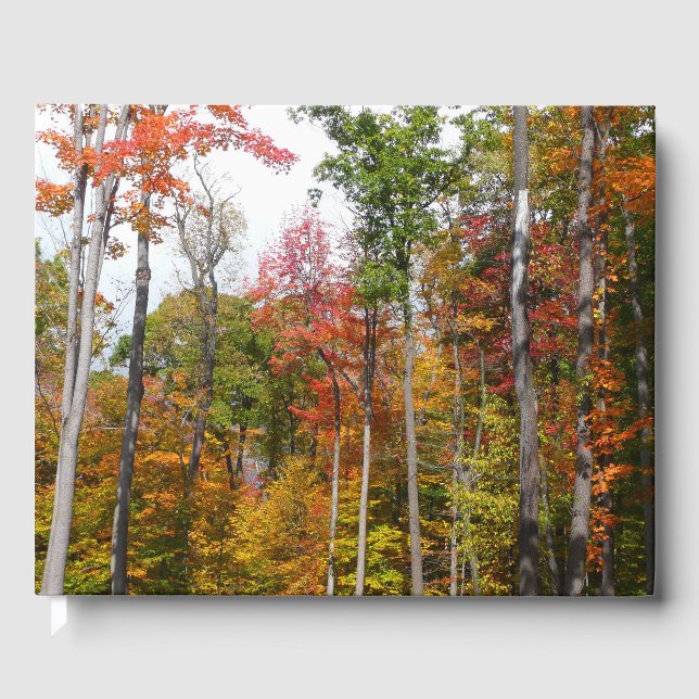 Livre D'or Automne dans la forêt Colorée Photographie d'autom (Recto)