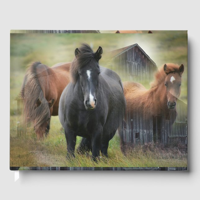 Livre D'or Beaux chevaux et grange rustique (Recto)