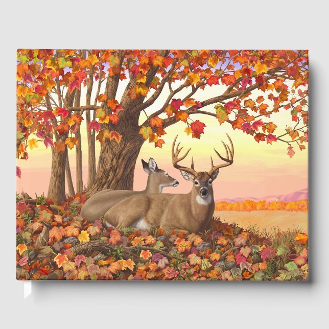 Livre D'or Cerf blanc en automne Nouvelle-Angleterre Couleurs (Recto)