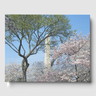 Livre D'or Cherry Blossoms et le monument de Washington à DC