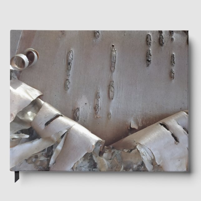 Livre D'or Curly Birch Bark Tree Rustic Guest Book (Recto)