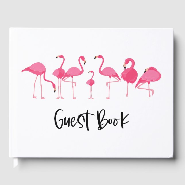 Livre d'or de location de Flamants roses roses (Recto)
