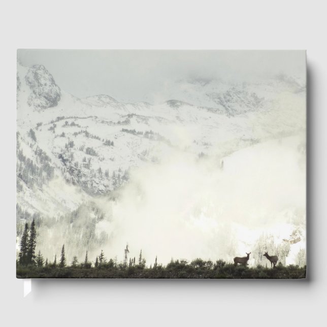 Livre D'or Elk at Grand Teton National Park Photographie (Recto)