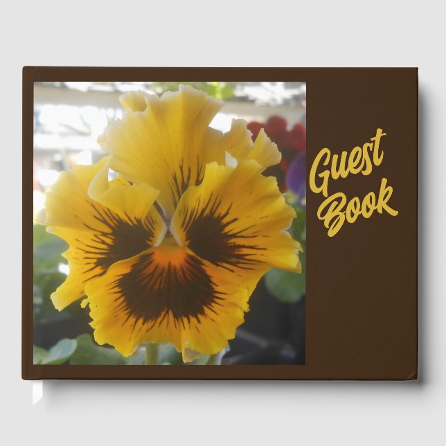 Livre D'or Eloise B (Recto)