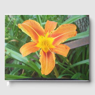 Livre D'or Fleur orange