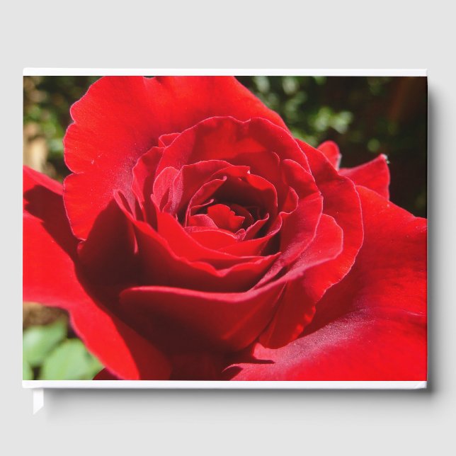 Livre D'or Fleur rose rouge vif Belle florale (Recto)