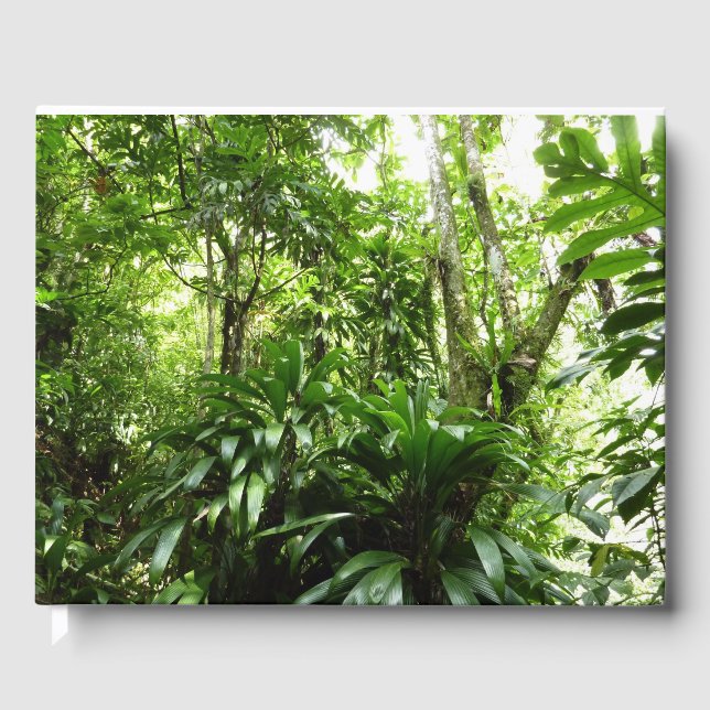 Livre D'or Forêt de pluie dominicaine I Nature verte tropical (Recto)