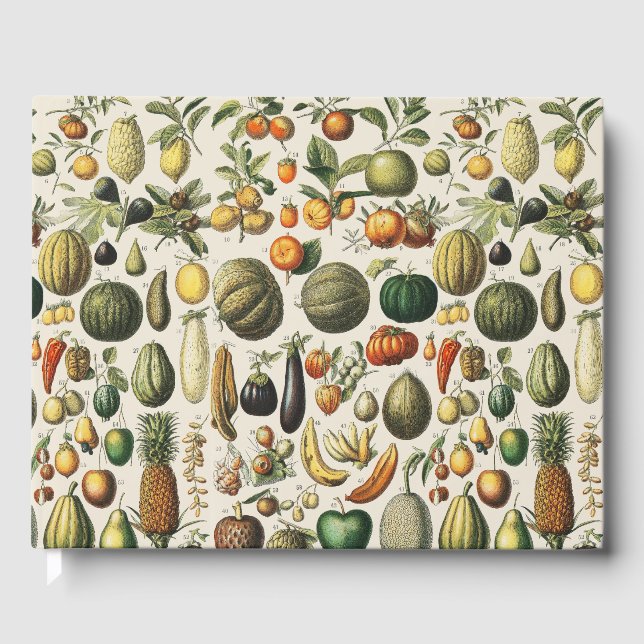 Livre D'or Fruit Vegetable Botanical Scientific Illustration (Recto)