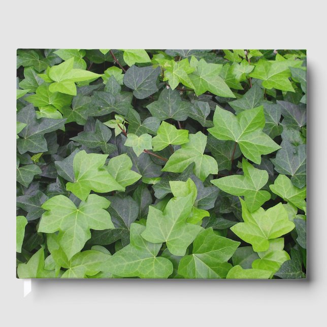 Livre D'or Impression botanique verte Ivy (Recto)