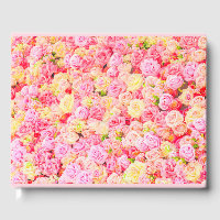 Jardin rose