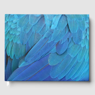 Livre D'or Je suis bleu - plumes de perroquet près