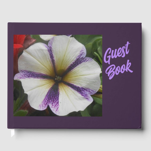 Livre D'or Joli (Recto)