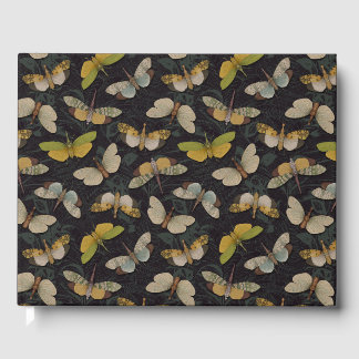 Livre D'or Lanternflies - Pyrops Candelaria & Planthoppers