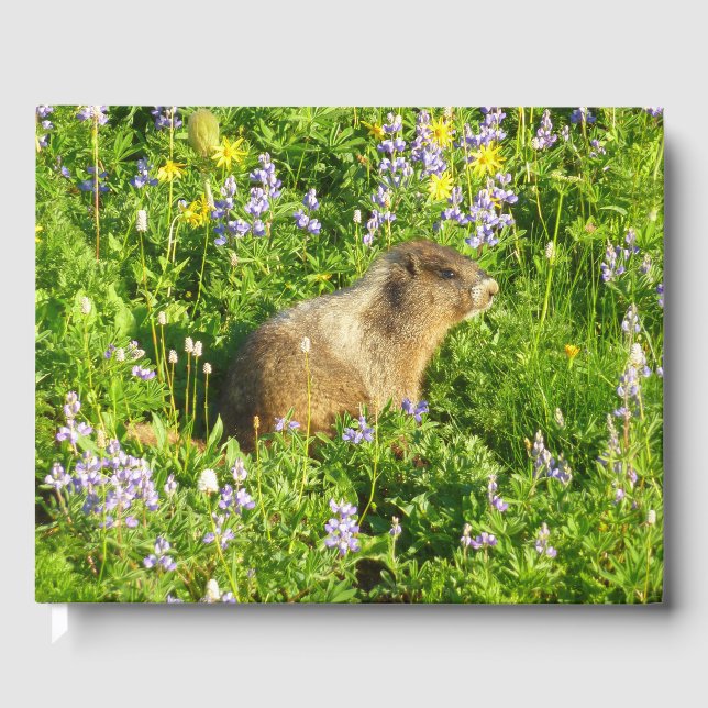 Livre D'or Marmot dans le Mont Rainier Fleurs sauvages (Recto)