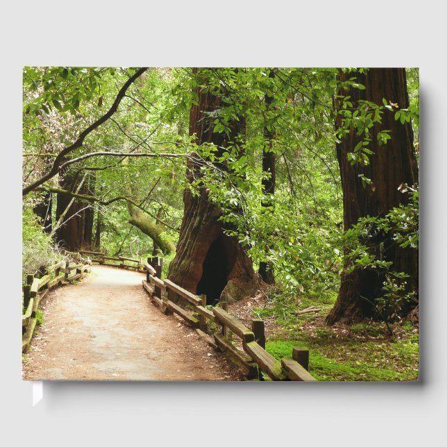 Livre D'or Muir Woods Path II Nature Photography (Recto)