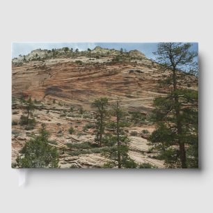 Livre D'or Murs de roche usés dans le parc national de Zion