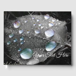 Livre D'or Muskoka Dew Drops