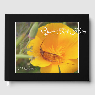 Livre D'or Muskoka Shadfly (Fleur Jaune)