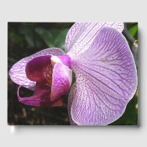Orchid : Mind Edition