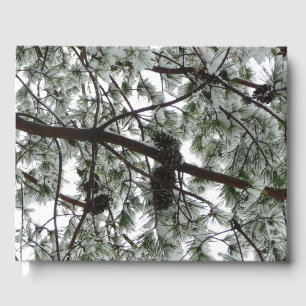 Livre D'or Photo hivernale sous le pin couvert de neige