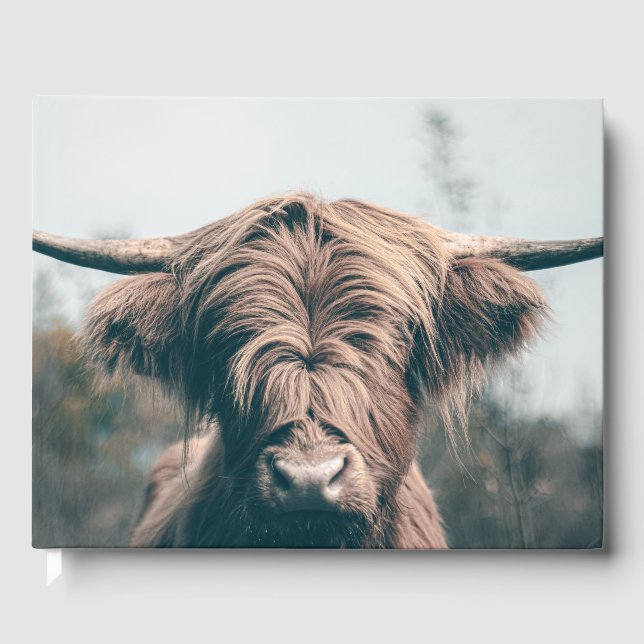 Livre D'or Portrait de vache Highland (Recto)