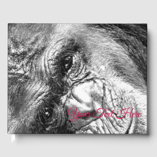 Livre D'or Regard intense